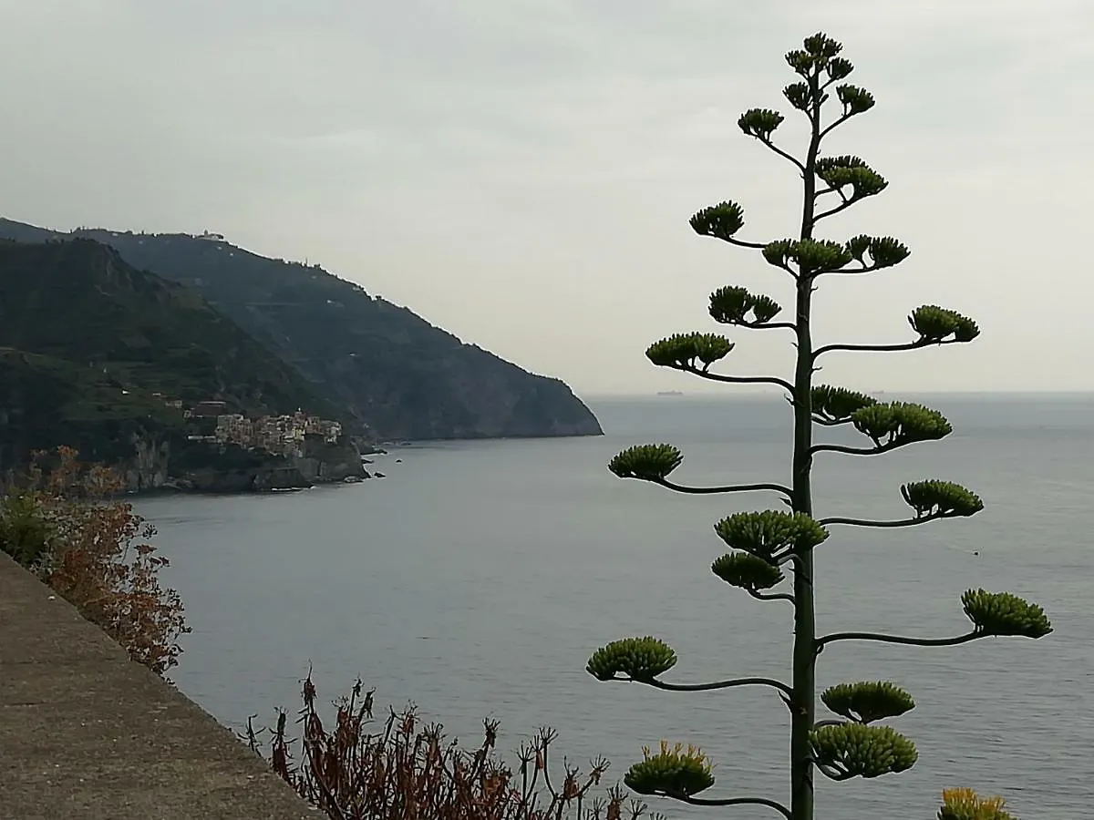 La Piccola Casa Di Rosa Borgo Marola Sul Golfo Apartment La Spezia 0*,  Italy